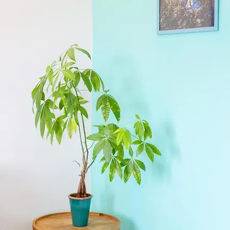 Daire Marescala Vacation - Casa Vesuvia